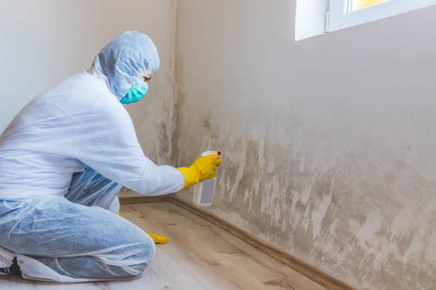 Hvac And Air Duct Mold Remediation inspection of HVAC system in Mifflintown